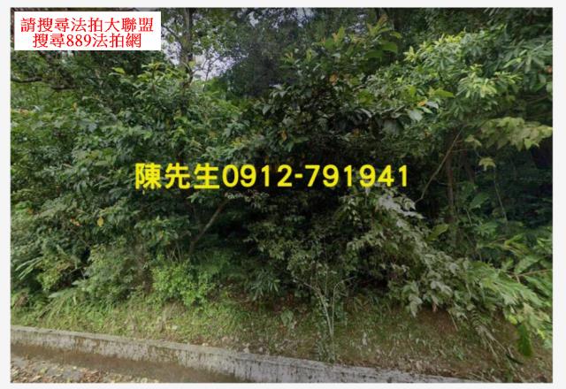 汐止法拍山坡地-10