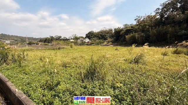 新埔農地-8