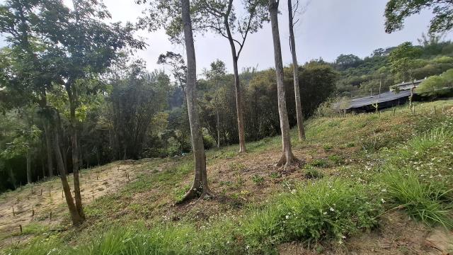 台中農地_山坡地_休閒地-10