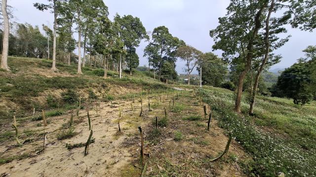 台中農地_山坡地_休閒地-11