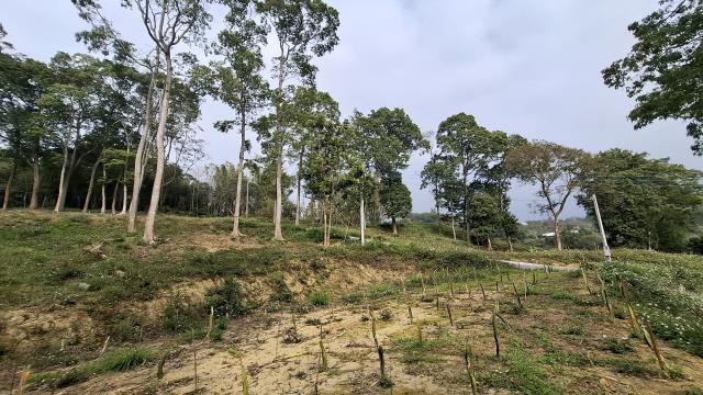 台中農地_山坡地_休閒地-12