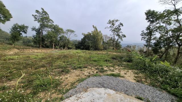 台中農地_山坡地_休閒地-13