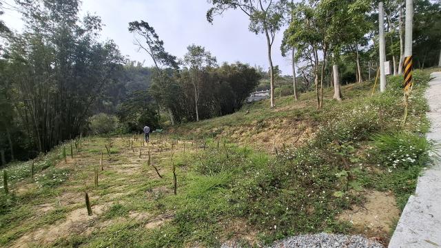 台中農地_山坡地_休閒地-15