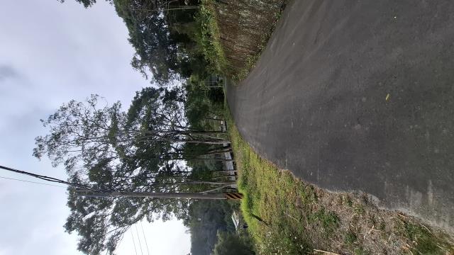 台中農地_山坡地_休閒地-2