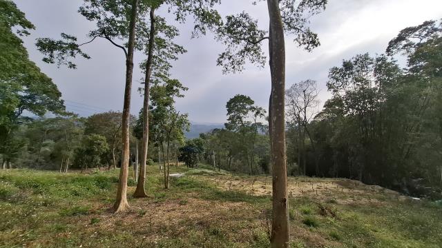 台中農地_山坡地_休閒地-3