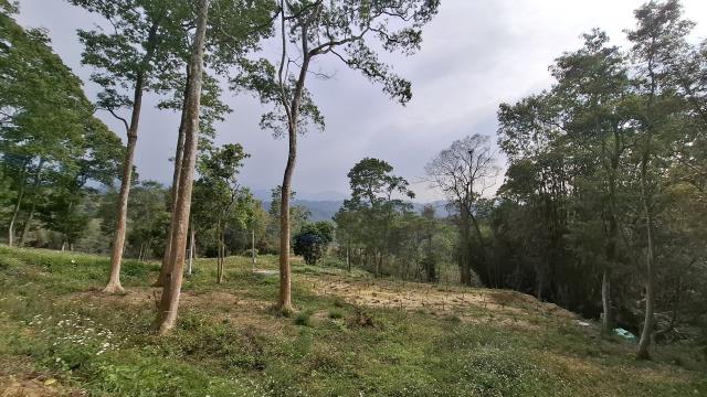 台中農地_山坡地_休閒地-7