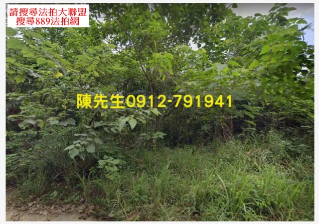 屏東三地門農地_山坡地法拍-10