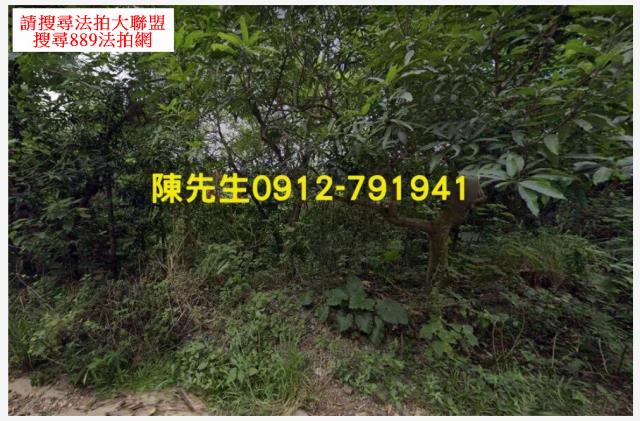 屏東三地門農地_山坡地法拍-2