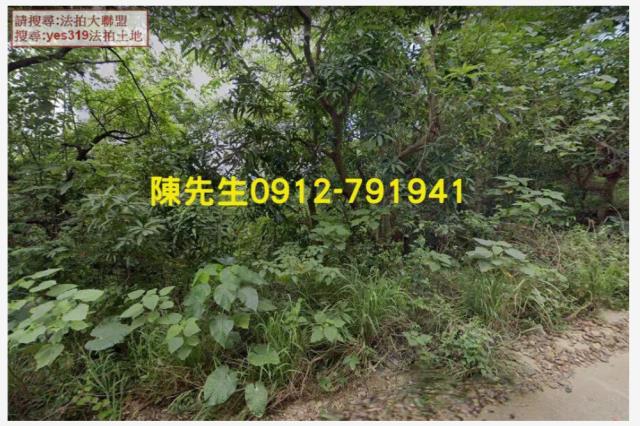 屏東三地門農地_山坡地法拍-3