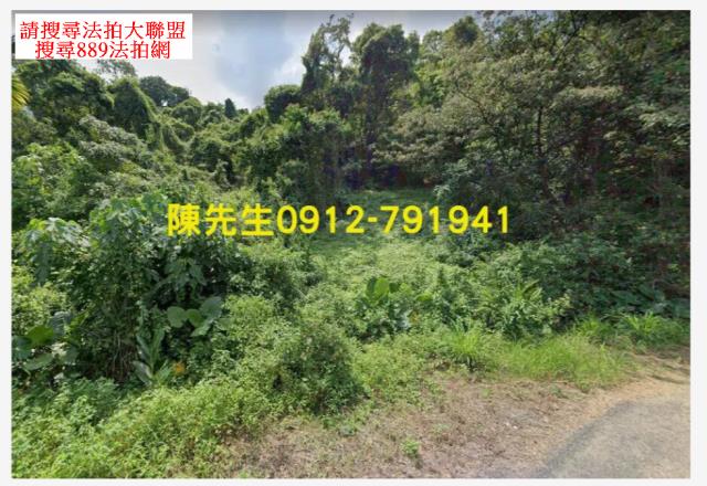 屏東三地門拍賣農地_山坡地-10