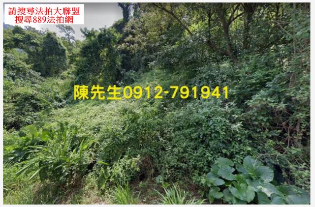 屏東三地門拍賣農地_山坡地-11