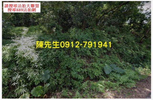 屏東三地門拍賣農地_山坡地-12