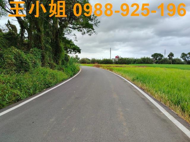 新屋農地-2