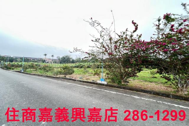 中埔農地-2