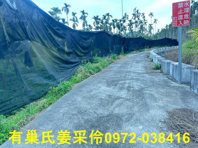 中埔農地-7