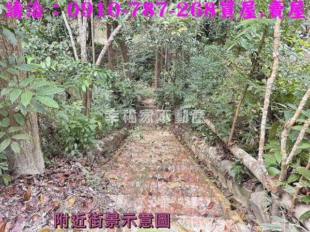 左鎮農地-11