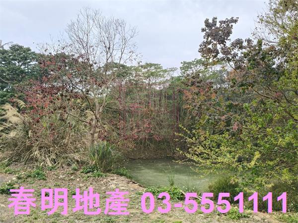 新竹農地_建地_道路地-3