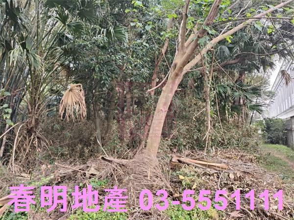 新竹農地_建地_道路地-5