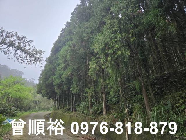 新竹北埔山坡地_休閒地_林地-1