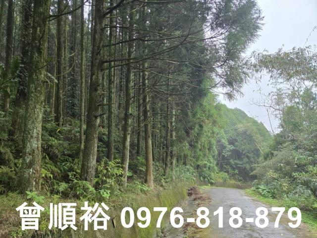 新竹北埔山坡地_休閒地_林地-2