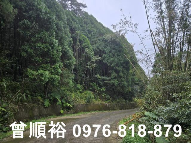 新竹北埔山坡地_休閒地_林地-3
