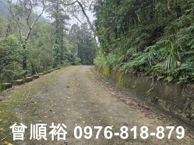 新竹北埔山坡地_休閒地_林地-6