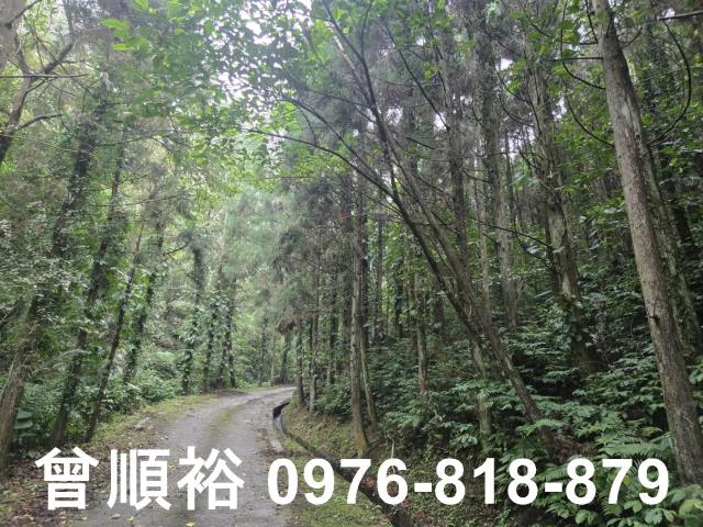 新竹北埔山坡地_休閒地_林地-7