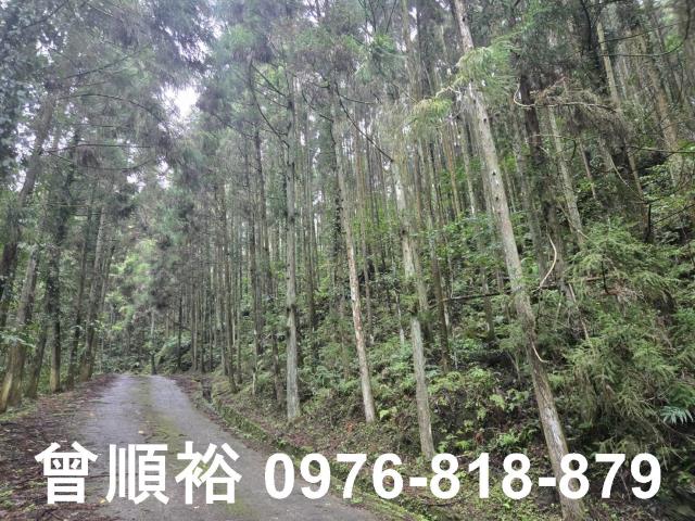 新竹北埔山坡地_休閒地_林地-8