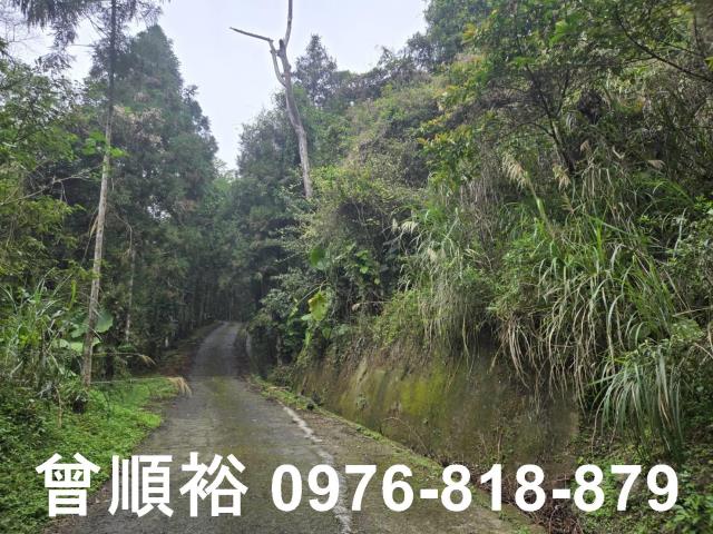 新竹北埔山坡地_休閒地_林地-9