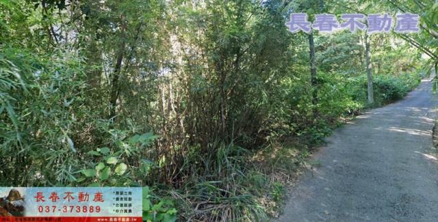苗栗銅鑼農地_山坡地_休閒地-4