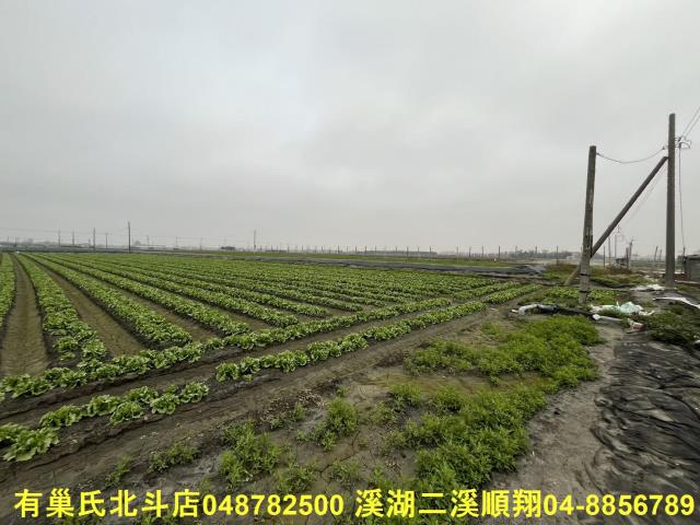 二林農地-7