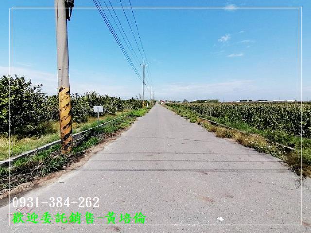 H。蝸牛居591