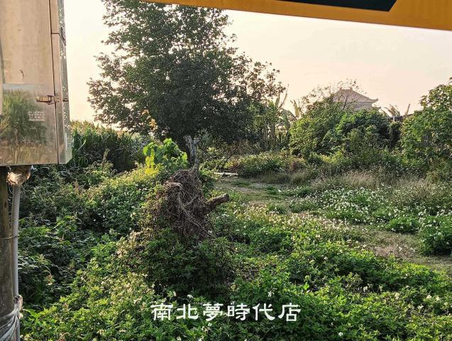 佳里農地_建地-1