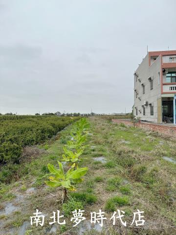 嘉義建地-7