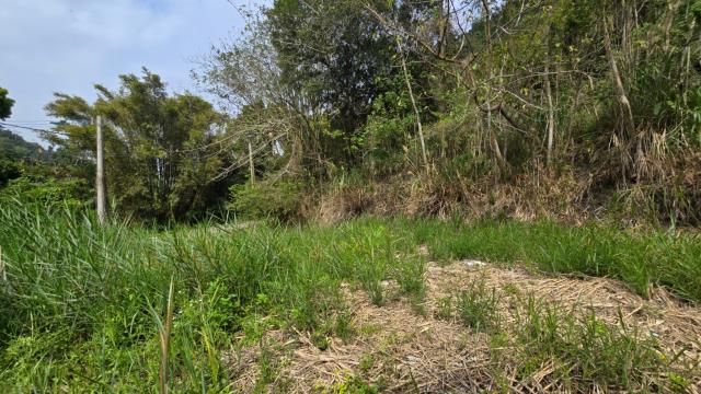 新竹農地_山坡地_休閒地-4