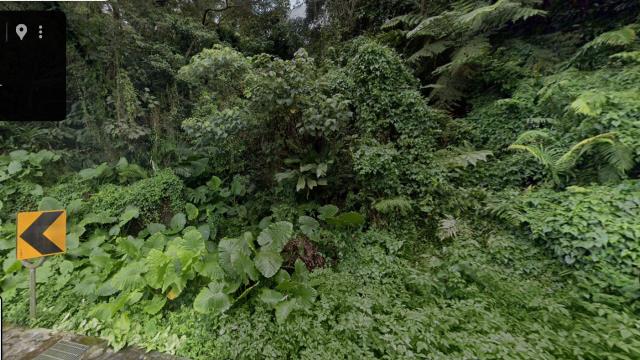 桃園大溪法拍林地-9