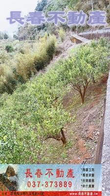 大湖農地_山坡地_休閒地-2