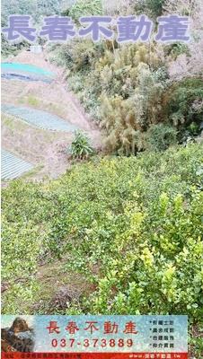 大湖農地_山坡地_休閒地-3