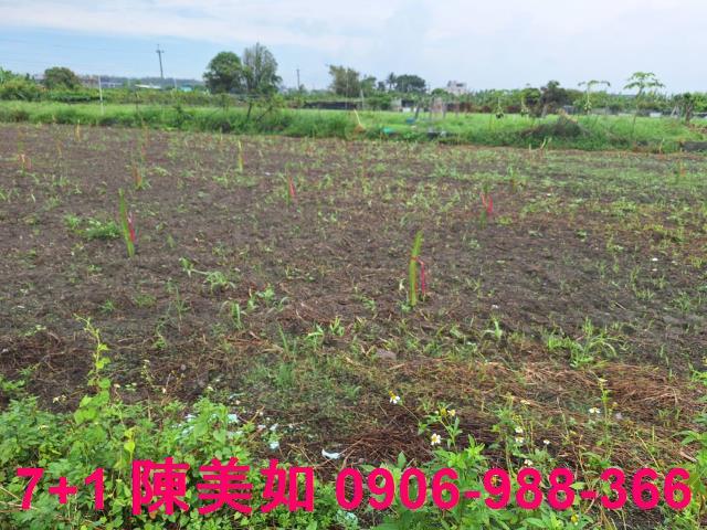 高雄農地-2