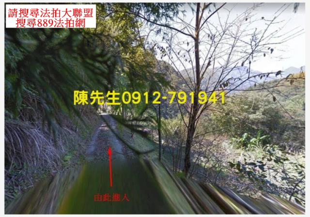 復興拍賣農地_山坡地-10