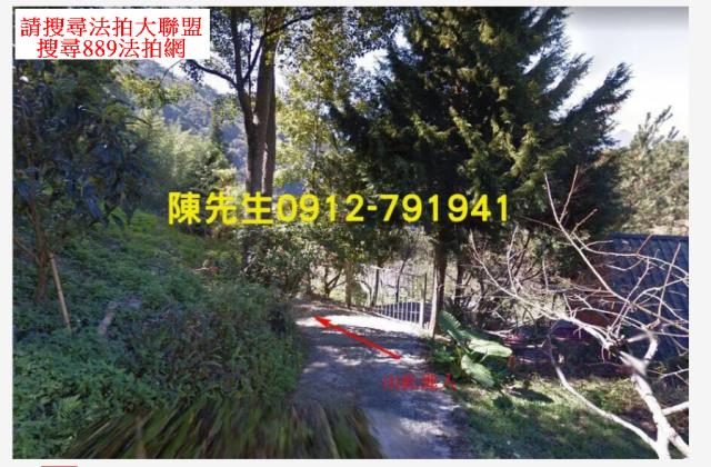 復興拍賣農地_山坡地-9