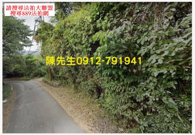 復興農地_山坡地法拍-13