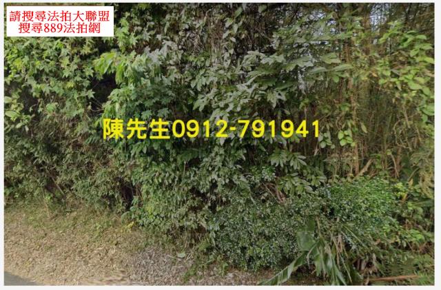 復興農地_山坡地法拍-2