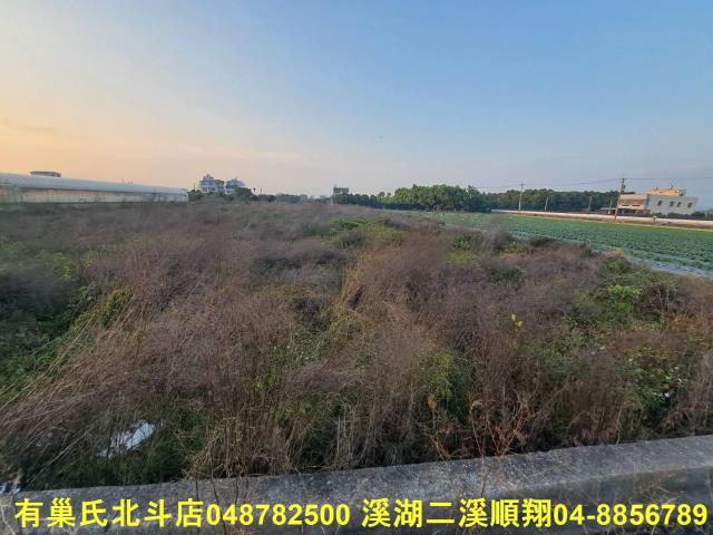 田尾農地-3