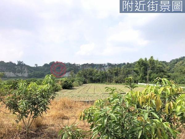 左鎮農地_建地-1