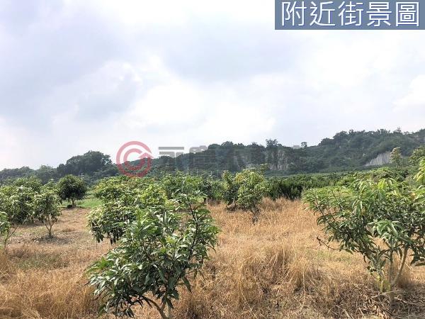 左鎮農地_建地-2