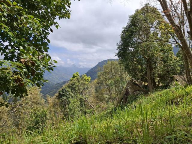 苗栗泰安農地_山坡地_休閒地-3