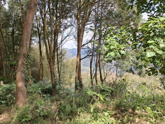 苗栗泰安農地_山坡地_休閒地-8