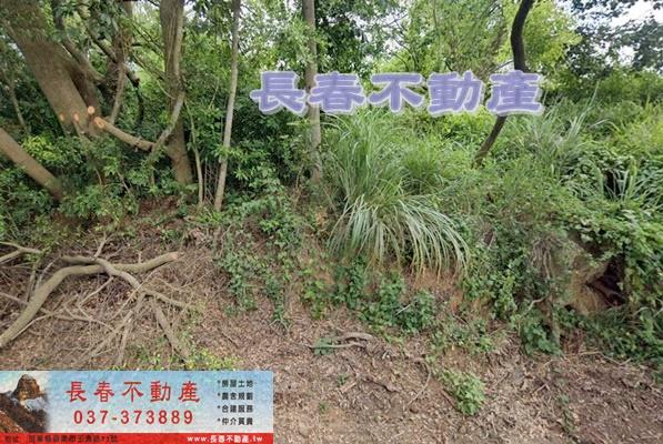 苗栗苗栗市農地_山坡地_休閒地-1