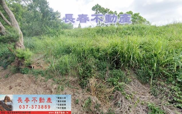 苗栗苗栗市農地_山坡地_休閒地-2